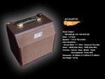 Belcat A15C Acoustic Amplifier