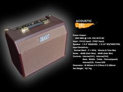 Belcat 25C Acoustic Amplifier