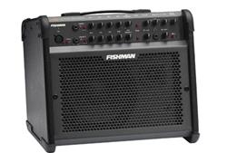 Fishman Loudbox 100 Acoustic Amplifier