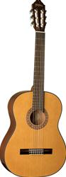 Washburn C40 Classical Guitar