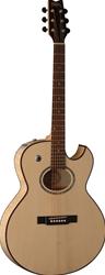 Washburn EA20SDL Thinline Acoustic/Electric Guitar