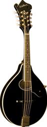 Washburn M1SDL Mandolin