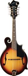 Washburn M3SW Mandolin