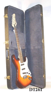 guitar case