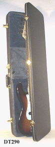 guitar case