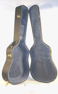 guitar case