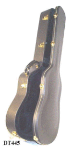 guitar case