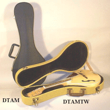 mandolin case