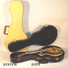 mandolin case