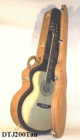 guitar case