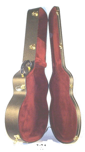 guitar case