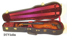violin case