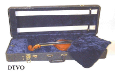 violin case