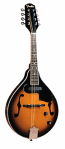 fender mandolins, electric mandolin