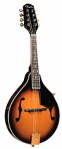 fender mandolins