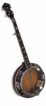 washburn banjos, bluegrass banjo