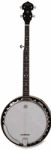washburn banjo