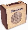Danelectro Nifty 50 Amplifier