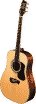 tacoma, olympia, acoustic guitars
