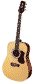 tacoma, olympia, acoustic guitars