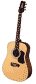 tacoma, olympia, acoustic guitars