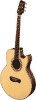 tacoma, olympia, acoustic guitars