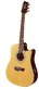 tacoma, olympia, acoustic guitars