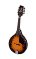 tacoma, olympia, mandolins