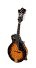 tacoma, olympia, mandolins