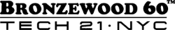 tech 21 bronzewood 60 acoustic amplifier
