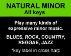 lee oskar harmonicas