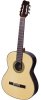 tacoma guitars