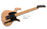 parker guitars