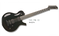 parker guitars