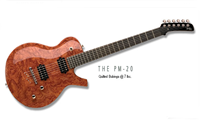 parker guitars
