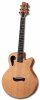 tacoma guitars