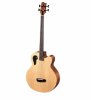 tacoma acoustic bass