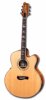 tacoma guitars