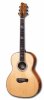 tacoma guitars