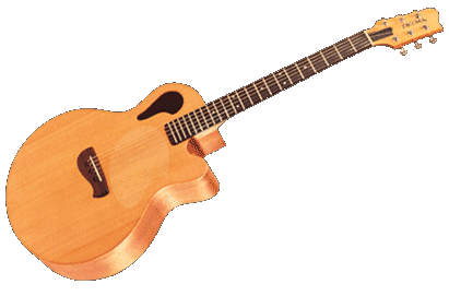 Tacoma Guitars
