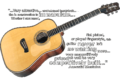 Tacoma Guitars