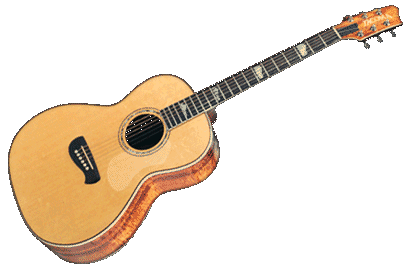 Tacoma Guitars