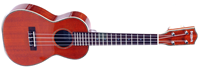 bushman jenny ukulele
