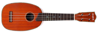 bushman jenny ukulele