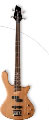 washburn t14 bass